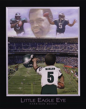 Framed Little Eagle Eye - Donovan McNabb Print