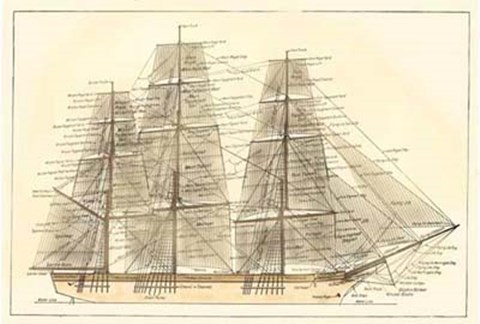 Framed Nautilus V Print