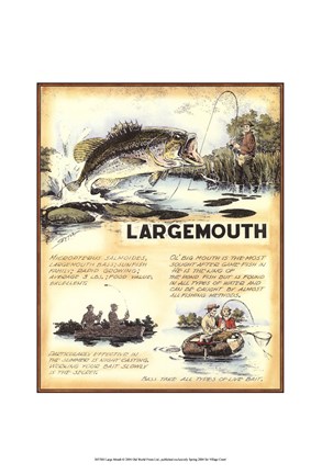 Framed Large Mouth Print