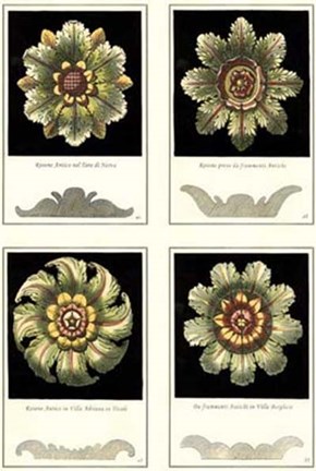 Framed Mini Rosettes Print