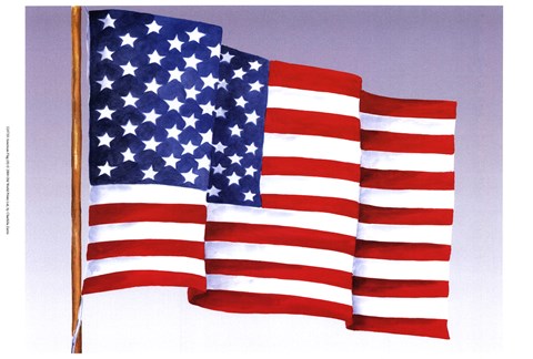 Framed American Flag (H) Print