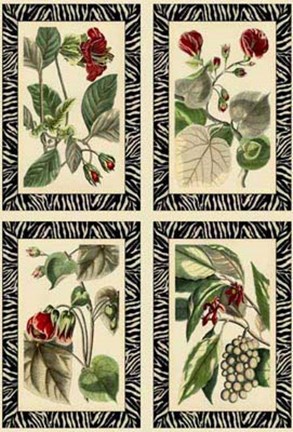 Framed Mini Zebra Botanicals Print