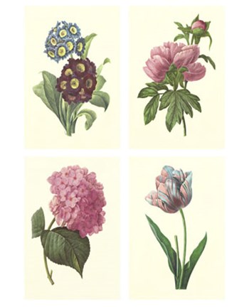Framed Mini Boudoin Florals Print