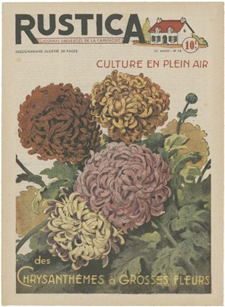 Framed Plantez Des Chrysanthemes Print