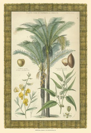 Framed Palms in Bamboo I Print