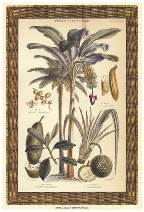 Framed Palms in Bamboo II Print