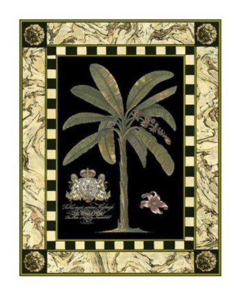 Framed Bordered Palms on Black II Print