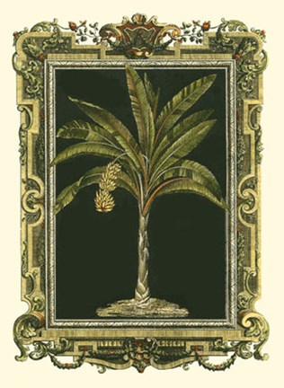 Framed Decorative Framed Palm I Print