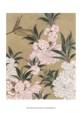 Framed Cherry Blossoms and Dragonfly Print
