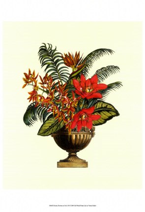 Framed Exotic Flowers in Urn (P) I Print
