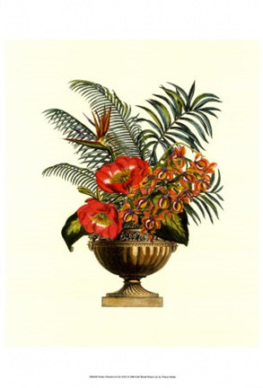 Framed Exotic Flowers in Urn (P) II Print