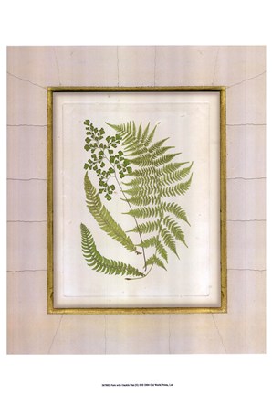 Framed Fern with Crackle Mat (H) II Print