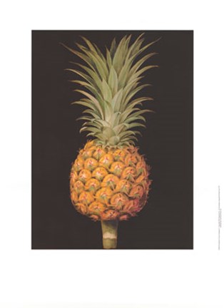 Framed Brookshaw&#39;s Exotic Pineapple II Print