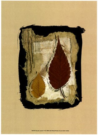 Framed Kyoto Leaves VI Print