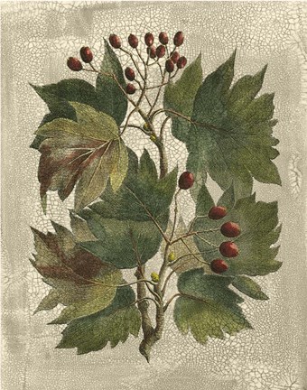 Framed Printed Deshayes Trees I Print