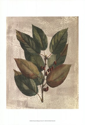 Framed Printed Deshayes Trees IV Print