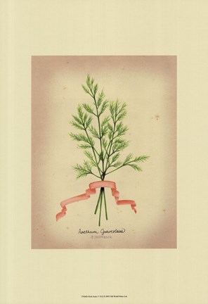 Framed Herb Series V Print