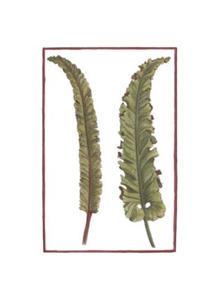 Framed Vintage Leaf I Print