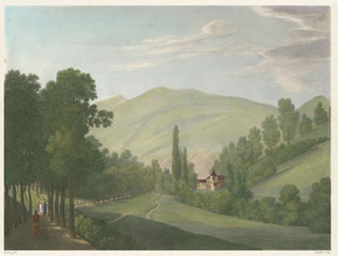 Framed Tranquil Cascade III Print