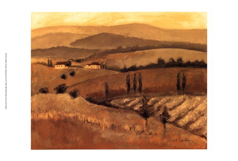 Framed Golden Tuscany Afternoon II Print