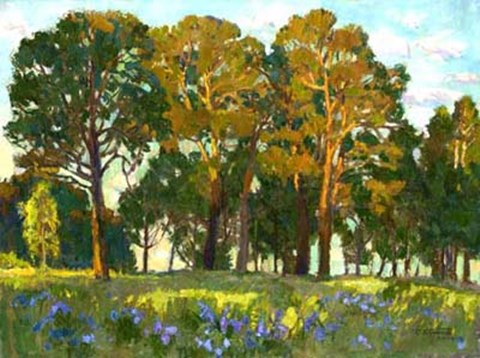 Framed Sunset in the Forest Print