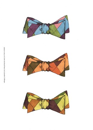 Framed Tri Bow II Print