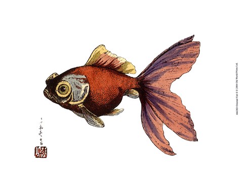 Framed Oriental Fish II Print