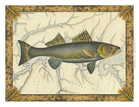 Framed Walleye on Map Print