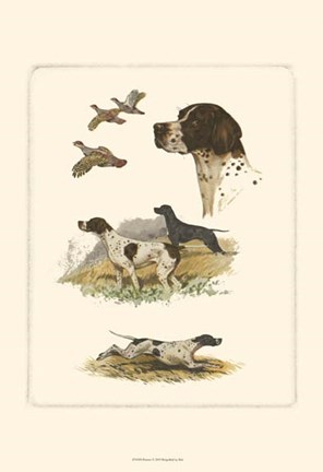 Framed Pointer Print