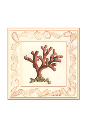 Framed Coral with Shell Border I Print
