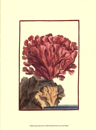 Framed Coral by the Sea IV Print