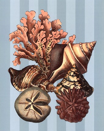 Framed Shell and Coral on Aqua I Print