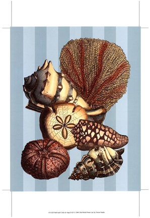 Framed Shell and Coral on Aqua II Print