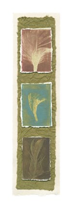 Framed Feather Fossils I on FAP Print