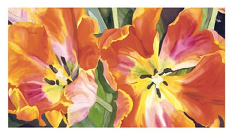 Framed Two Parrot Tulips Print