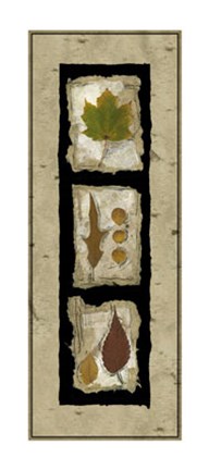 Framed Kyoto Panel II Print