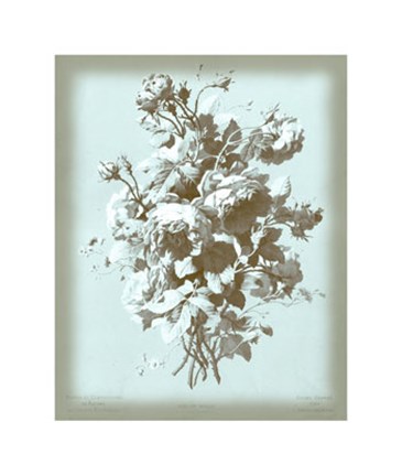 Framed Roses on Blue Print