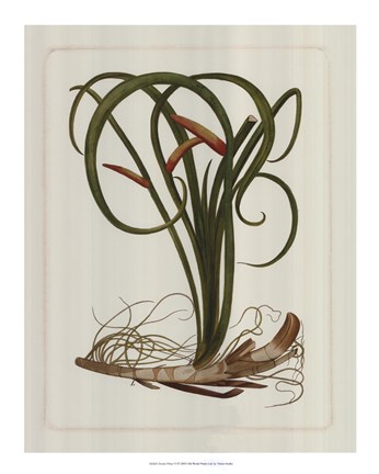Framed Exotic Flora VI Print