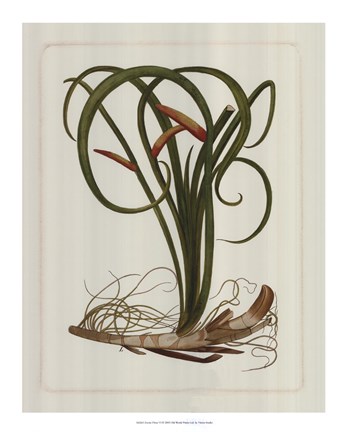 Framed Exotic Flora VI Print
