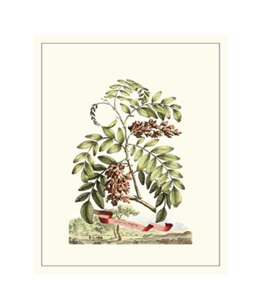 Framed Grandiose View I Print