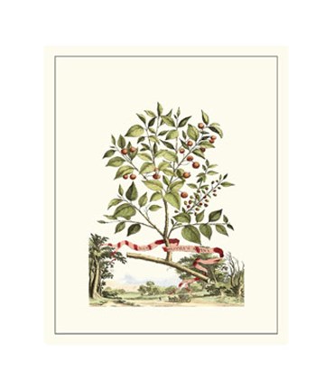 Framed Grandiose View III Print