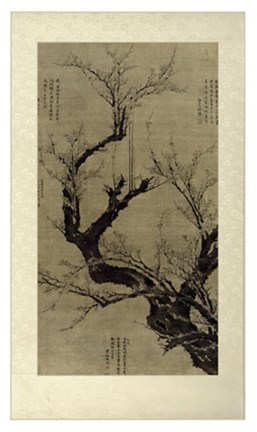 Framed Plum Blossom Tree Print