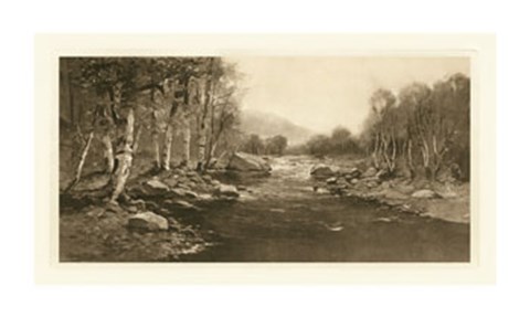 Framed Tranquil Riverscape III Print