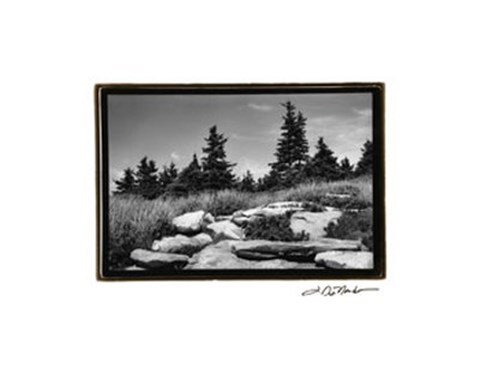 Framed Rocky Green Print