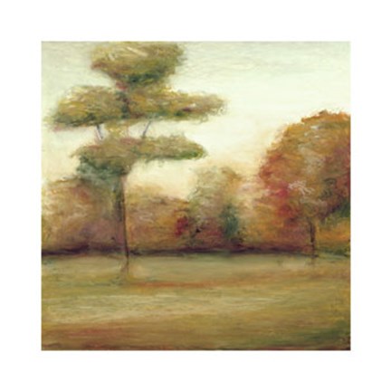 Framed Idle Country I Print