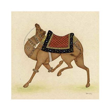 Framed Camel from India I Print