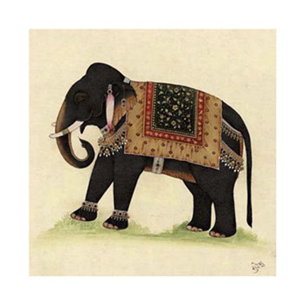 Framed Elephant from India II Print