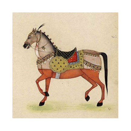 Horse from India I by Illuminations