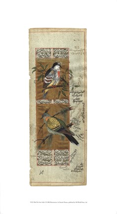 Framed Bird Pair from India I Print