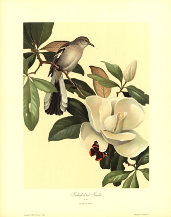 Framed Mockingbird and Magnolia Print